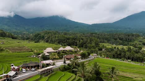 Volcán-Bali---Terrazas-De-Arroz-Jatiluwih