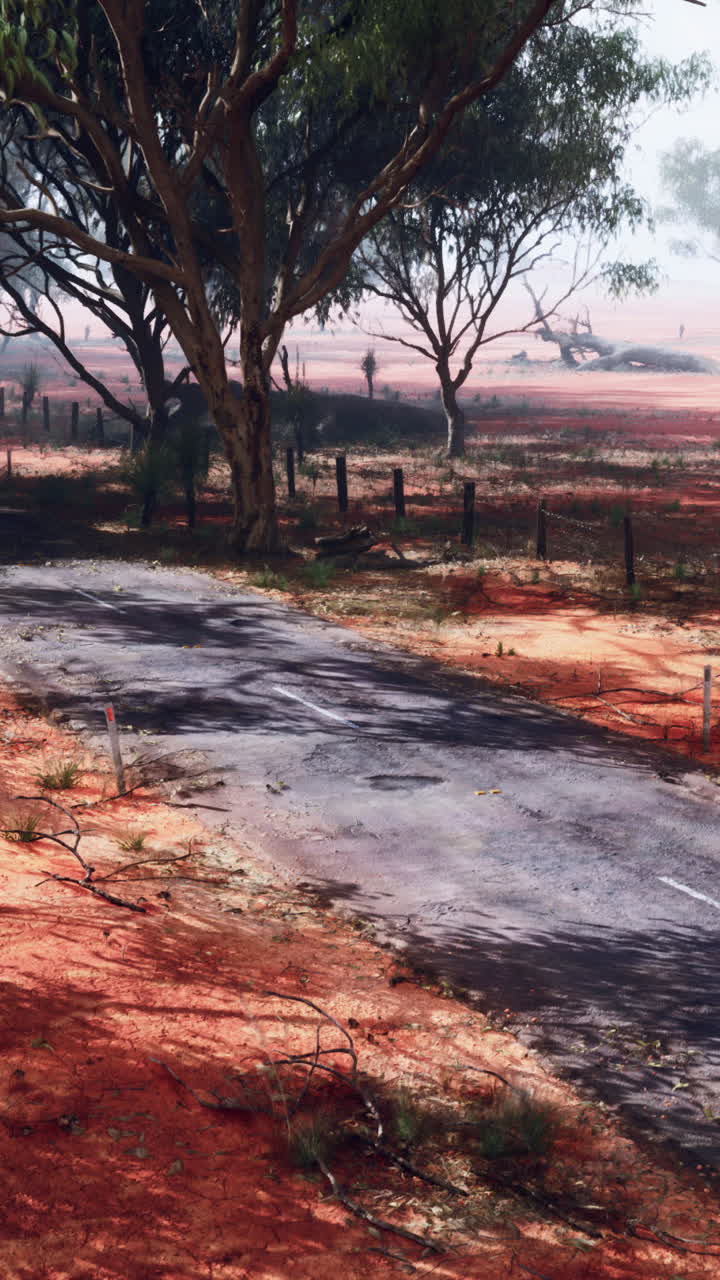 Una strada solitaria attraverso l'Outback australiano