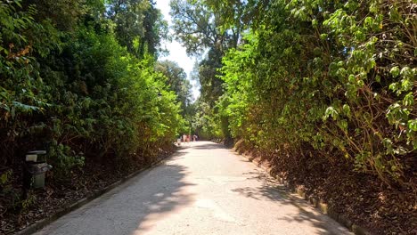 un camino de jardín sereno en nápoles, italia
