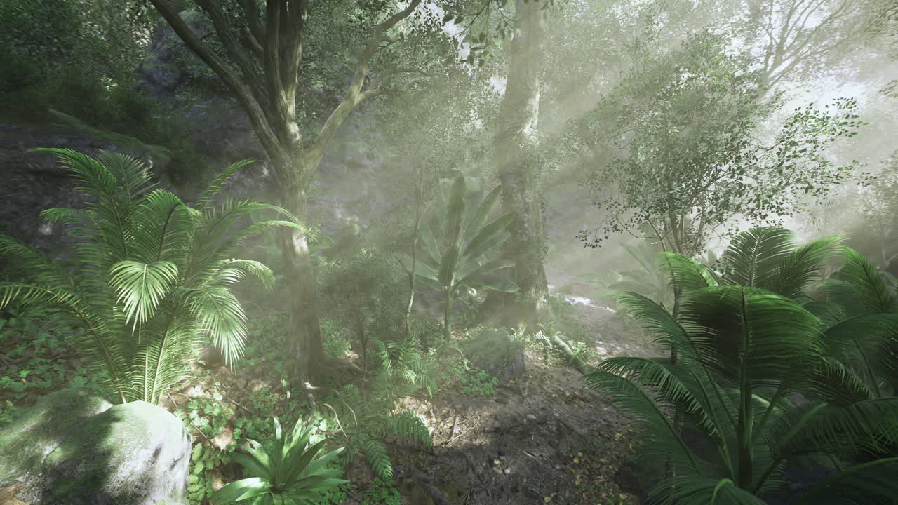 Sunlight filters through trees in a lush tropical forest setting