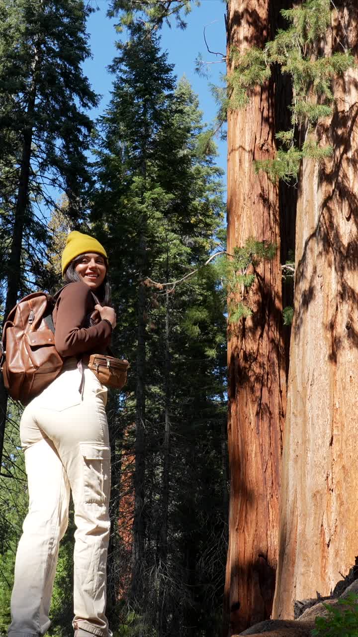 Donna con zaino che guarda in alto gli alberi giganti di sequoia nella foresta