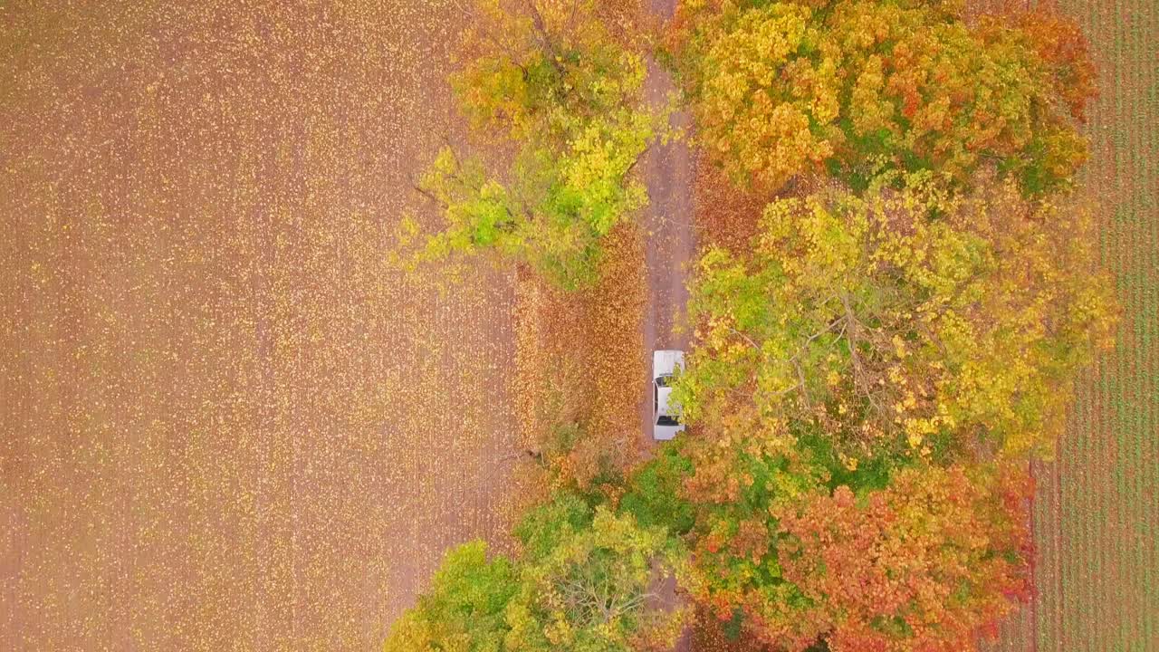 형형색색의 나무 사이를 달리는 차 위에서 아래로 드론을 쐈다