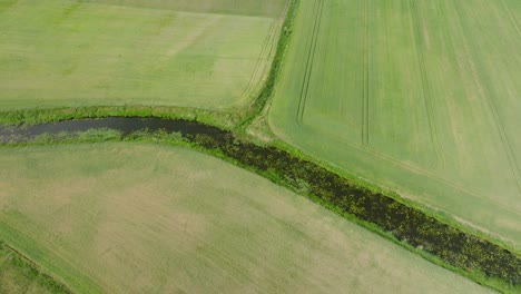 vista aérea a vista de pájaro de un campo de grano en maduración, agricultura orgánica, paisaje rural, producción de alimentos y biomasa para un manejo sostenible, día soleado de verano, foto panorámica de un avión no tripulado avanzando