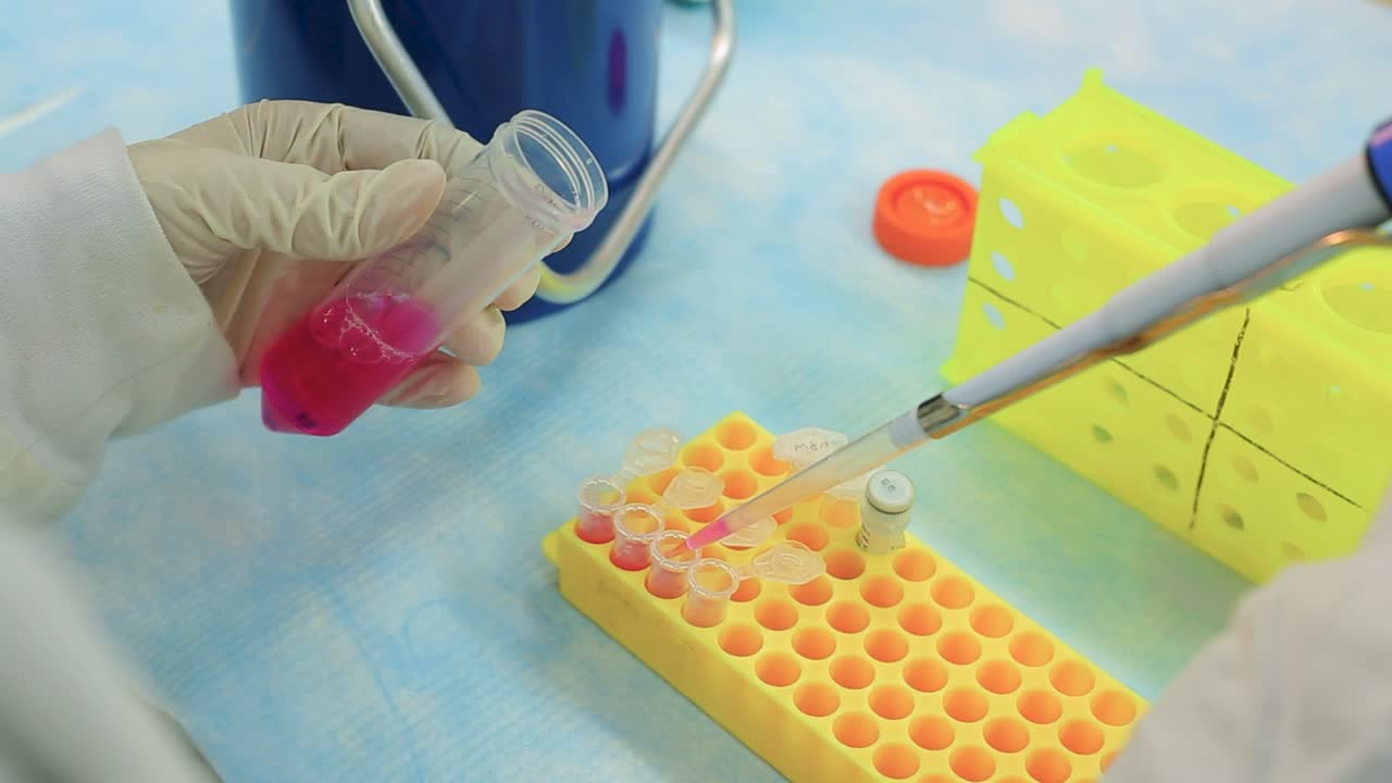 과학자가 용액 플을 흡입 으로 실험 튜브로 옮기고 있습니다.