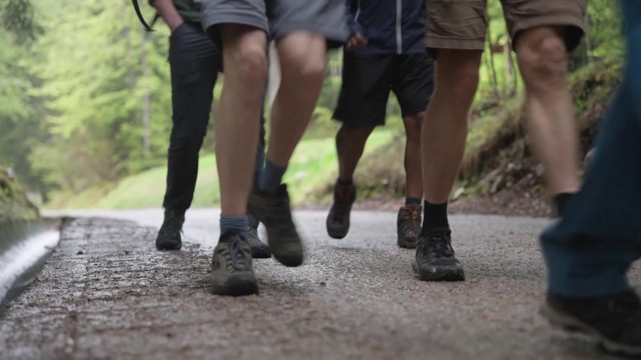 Plan séquence en contre-plongée d'un groupe de randonneurs marchant sur un sentier forestier asphalté. Des personnes actives faisant de la randonnée et explorant la nature lors d'une aventure en plein air