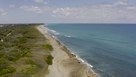 aerial view of rocky beach and dunes on florida coastline