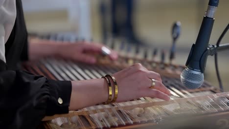 A-woman-playing-on-Zither-in-the-theatre-static-shot,-close-up-shot