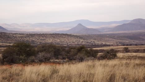 el karoo en sudáfrica