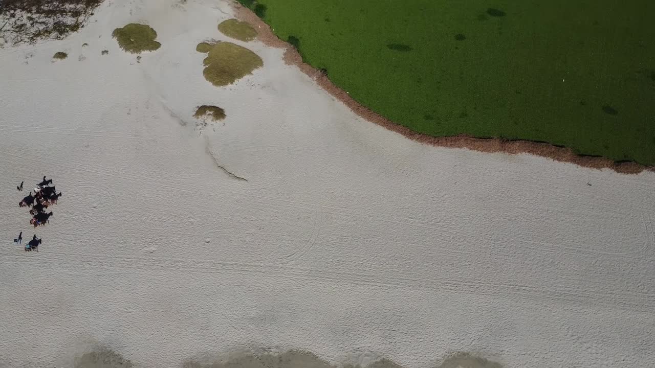 멕시코 산호세 델 카보, 바야 캘리포니아 반도의 리조트 시의 항공 사진 - 해변, 주변 도시 및 습지의 드론 영상