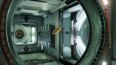 marinated-pickled-cucumber-floating-in-internation-space-station