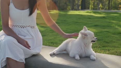 woman and her dog outdoors