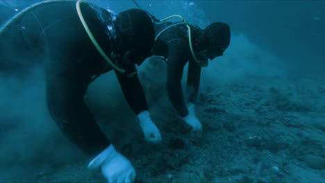 pescadores de buceo cosechando vieiras en la profundidad del mar azul cerca de patagonia, argentina