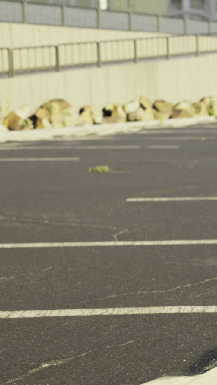 Calm morning in an empty parking lot with gentle sunlight and shadows