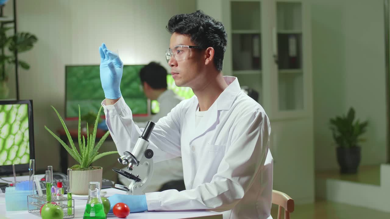 Asian Scientist Man Looking At Test Sample Of Leaf Analyzing For Biological Experiment With Organic Plants. Biologist Specialist Discovering Organic Gmo Plants While Working In