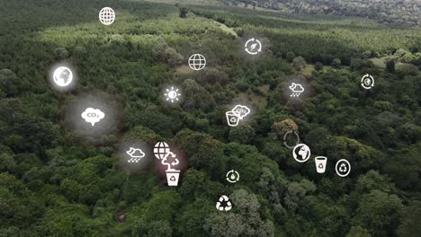 futuristic aerial drone view of the forest coverage