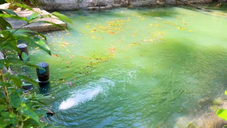 pond water circulation at khao kheow zoo