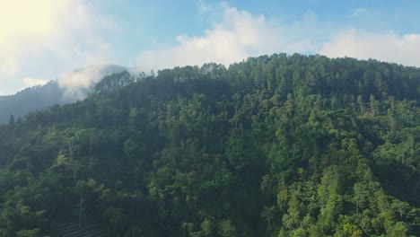 Aerial-view-of-woodland-of-mountain