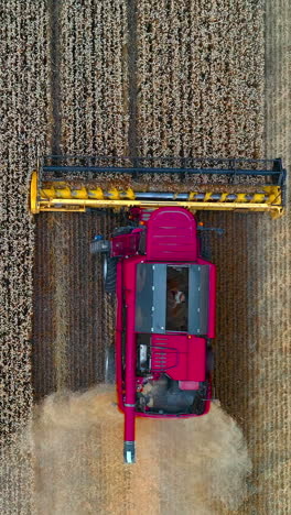 modern agricultural equipment. pink combine harvester working on field during seasonal works. machinery gathering ripe crop in farmland. top view. vertical video