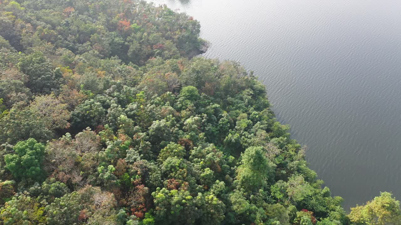 Aerial View of a Lakeside Area with Lush Vegetation and a Winding Road