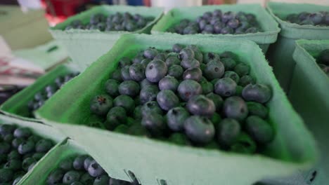 arándanos en exhibición en el mercado de agricultores de la isla de vancouver