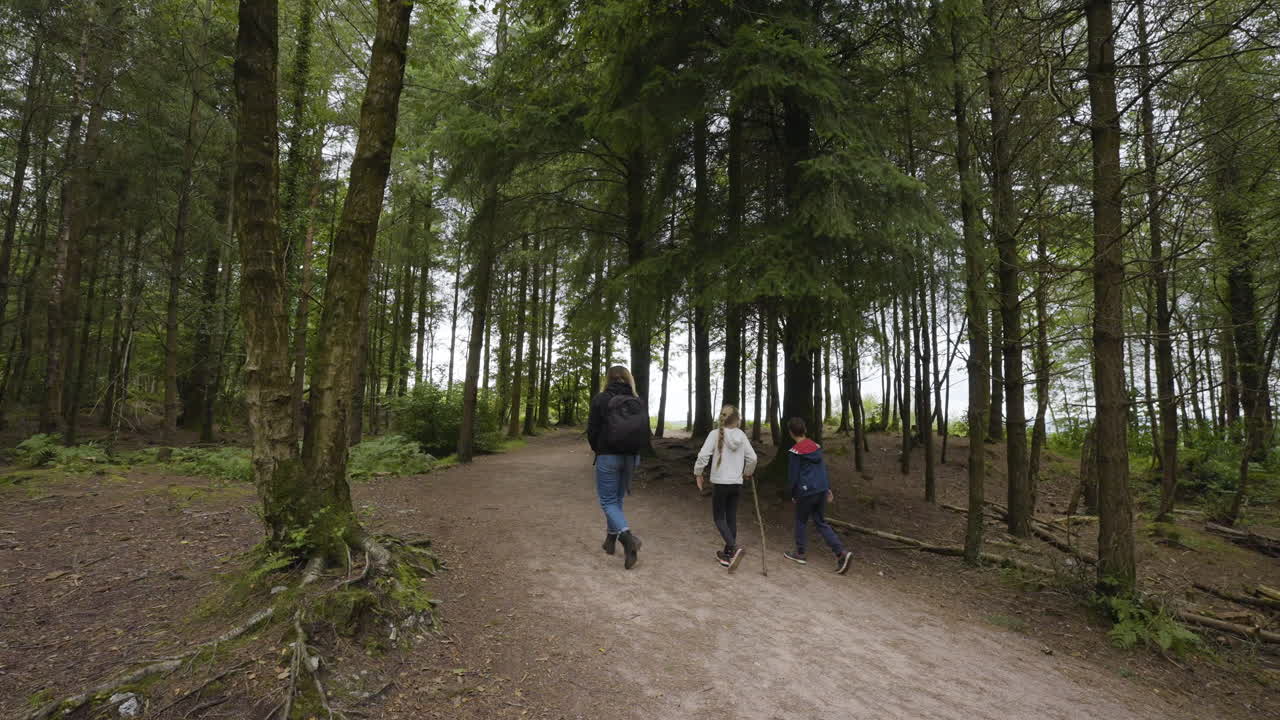 una caminata familiar en el bosque