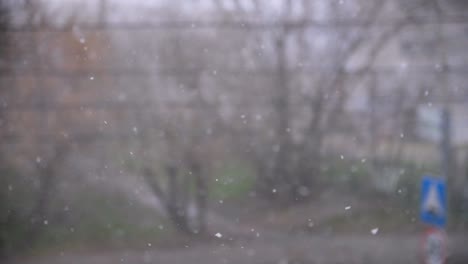 snow falling outside a window
