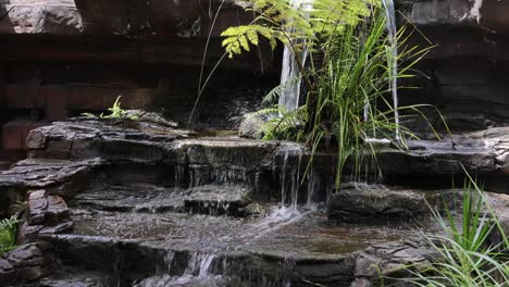 water cascading over rocks with surrounding greenery