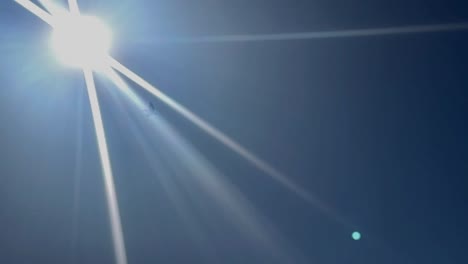 Pelican-fly's-through-sun-rays-in-on-a-beautiful-day-in-Southern-California