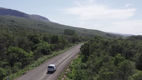 perfecto día soleado con coche viajando a través del bosque nacional hallormsstaður, islandia