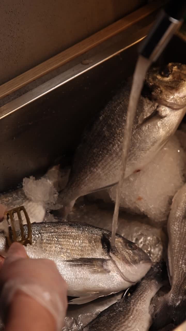 Preparing Fresh Fish