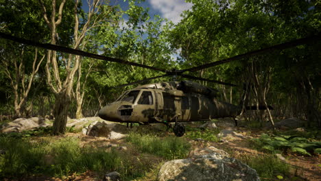 military helicopter in deep jungle