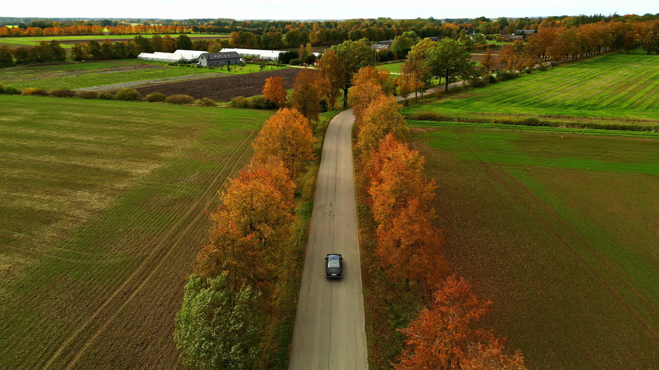 Car Driving On Country Road Through Autumn Trees And Farming Fields. drone tracking shot