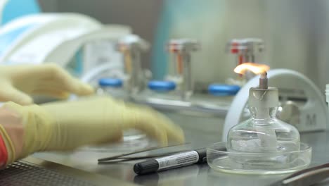 chemical scientist hand doing laboratory research. lab testing with candle fire