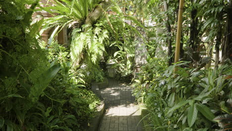 pov walking on tropical walkway inside ubud palace revealing ancient balinese statues, puri saren agung, historical building complex in ubud, gianyar regency of bali, indonesia