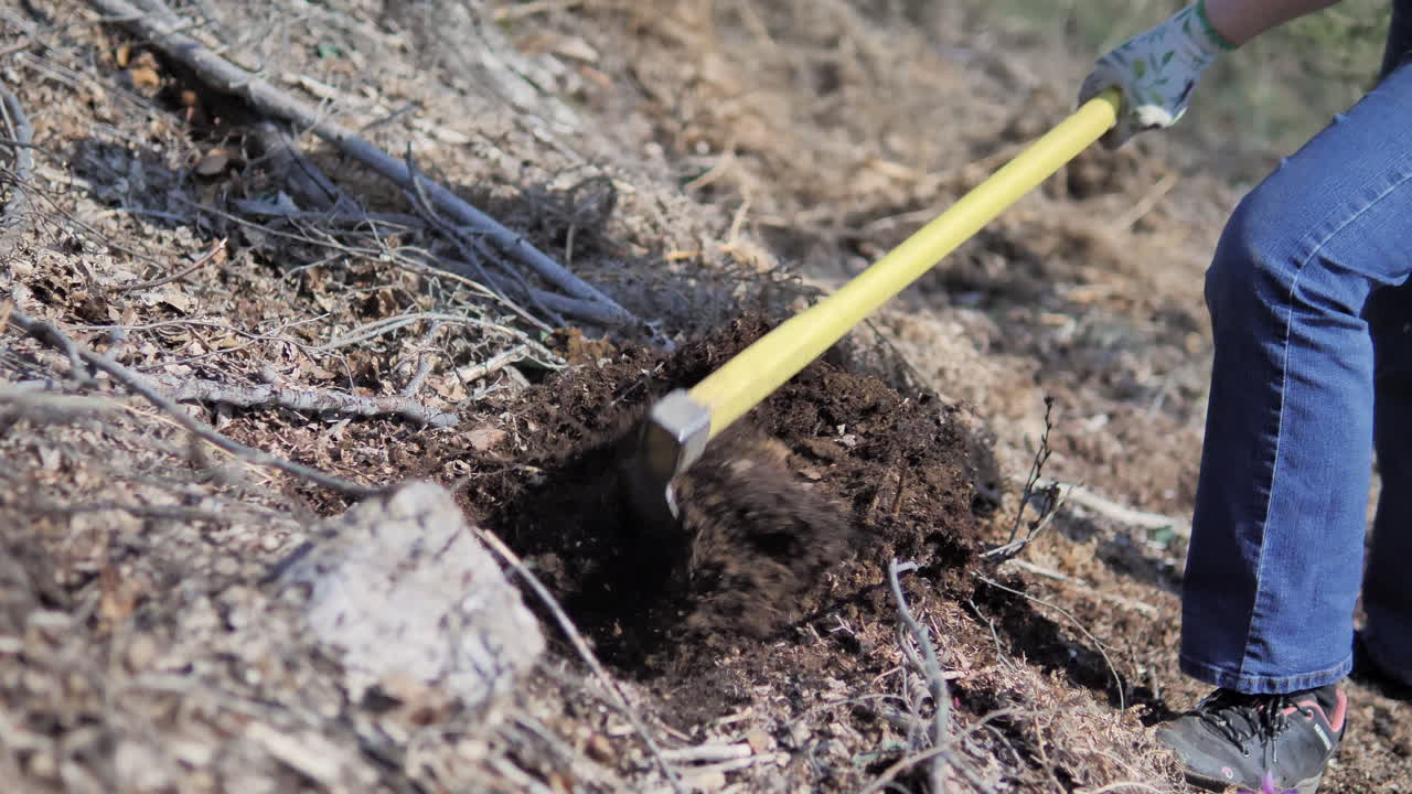 Male hands using a shovel to make a hole for planting a tree