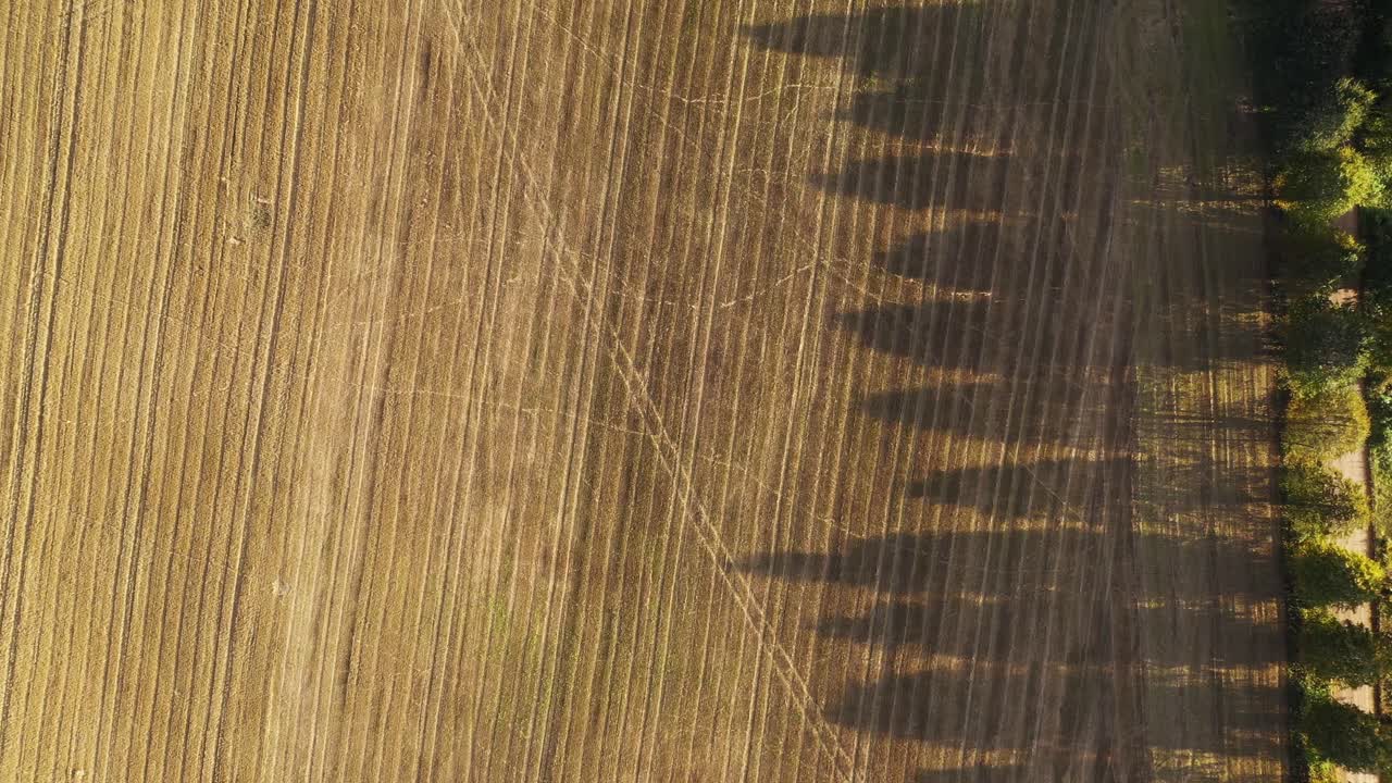 campos agrícolas en barbecho arado y camino de tierra bordeado de árboles, sobrecarga a través