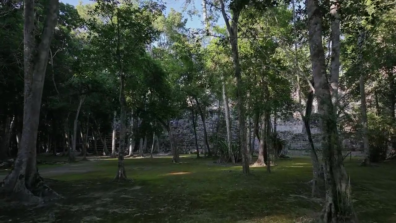 Lenta ripresa aerea in dolly delle rovine Maya di Balamku e della foresta circostante a Campeche, Messico, con passaggio attraverso gli alberi.