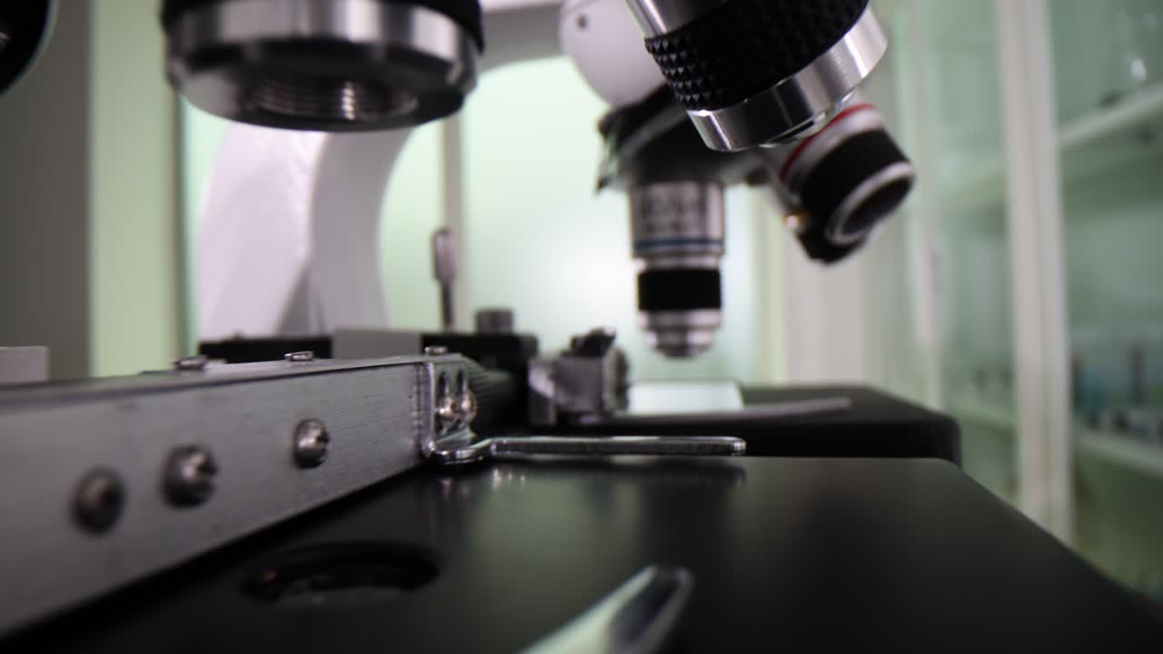 Microscopic Examination