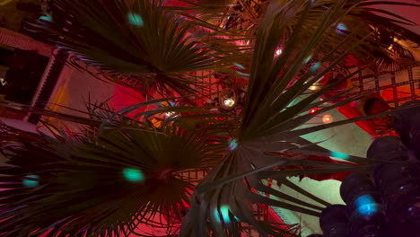 vertical dots coloured light moving across palm tree leaves with atmospheric party mood lighting