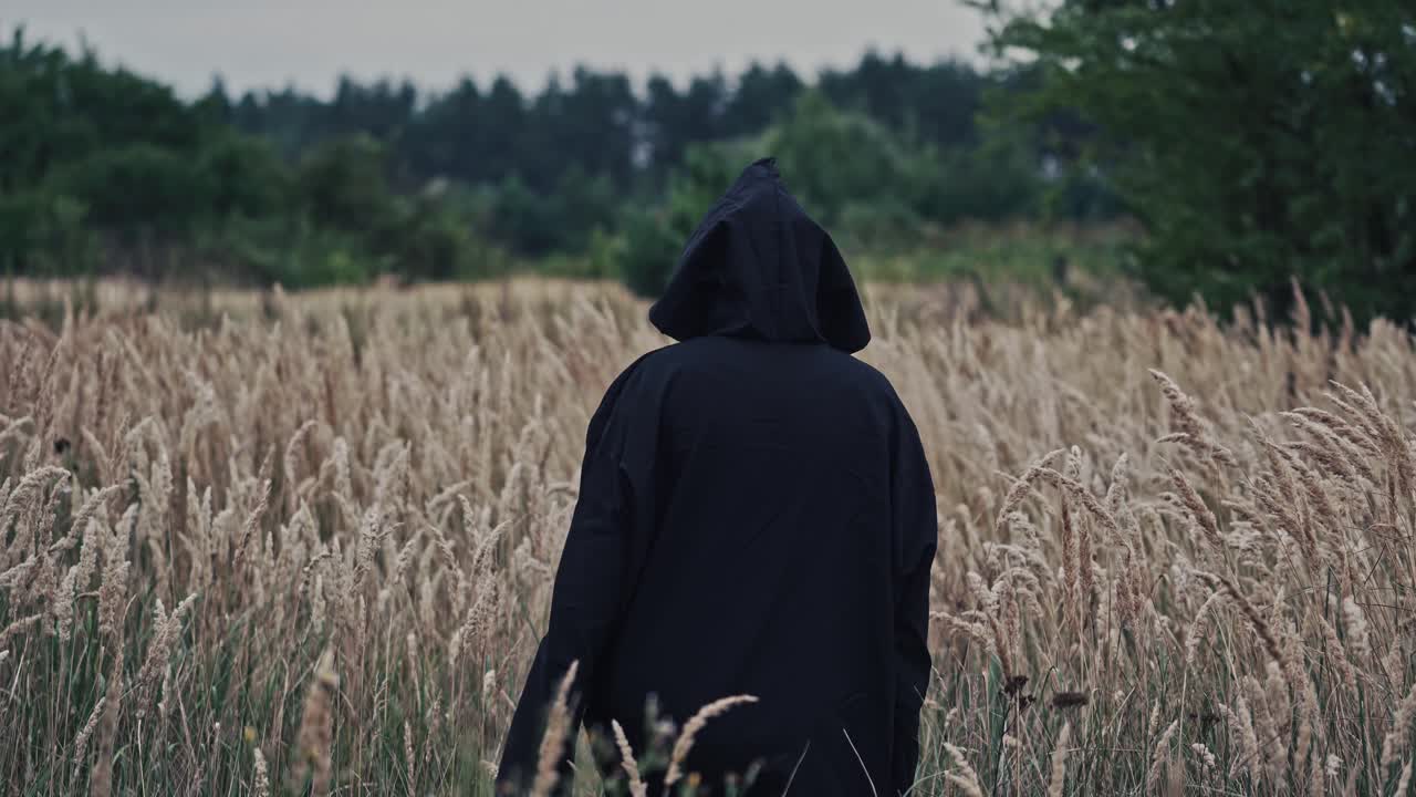 Dark ghost on a wheat field. Back view of a spooky figure in black cloak turning its scary face on camera on the nature background.