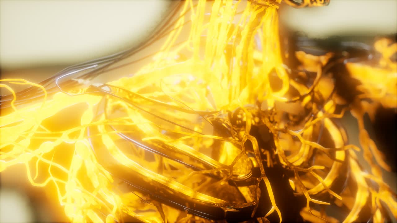 순환계의 혈관에 있는 혈액의 검사