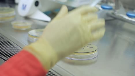 scientist hand writing on test beakers