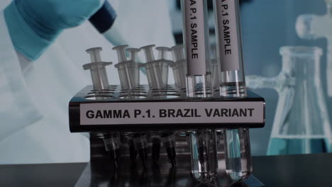 gama p
