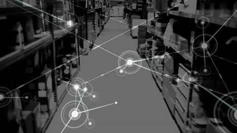 Animation-of-network-of-connections-over-warehouse