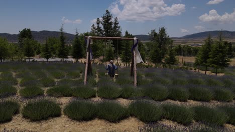 Columpiarse-En-El-Jardín-De-Lavanda