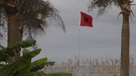 hurricane flag blowing with palm trees and ocean