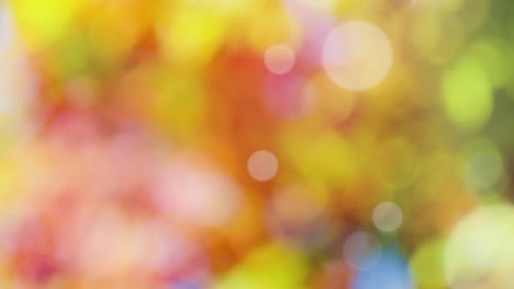 fondo de resorte abstracto con bokeh