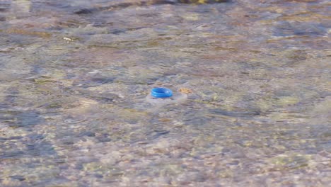plastic blue bottle cap and debris floating in water being take by current, slowmotion pan