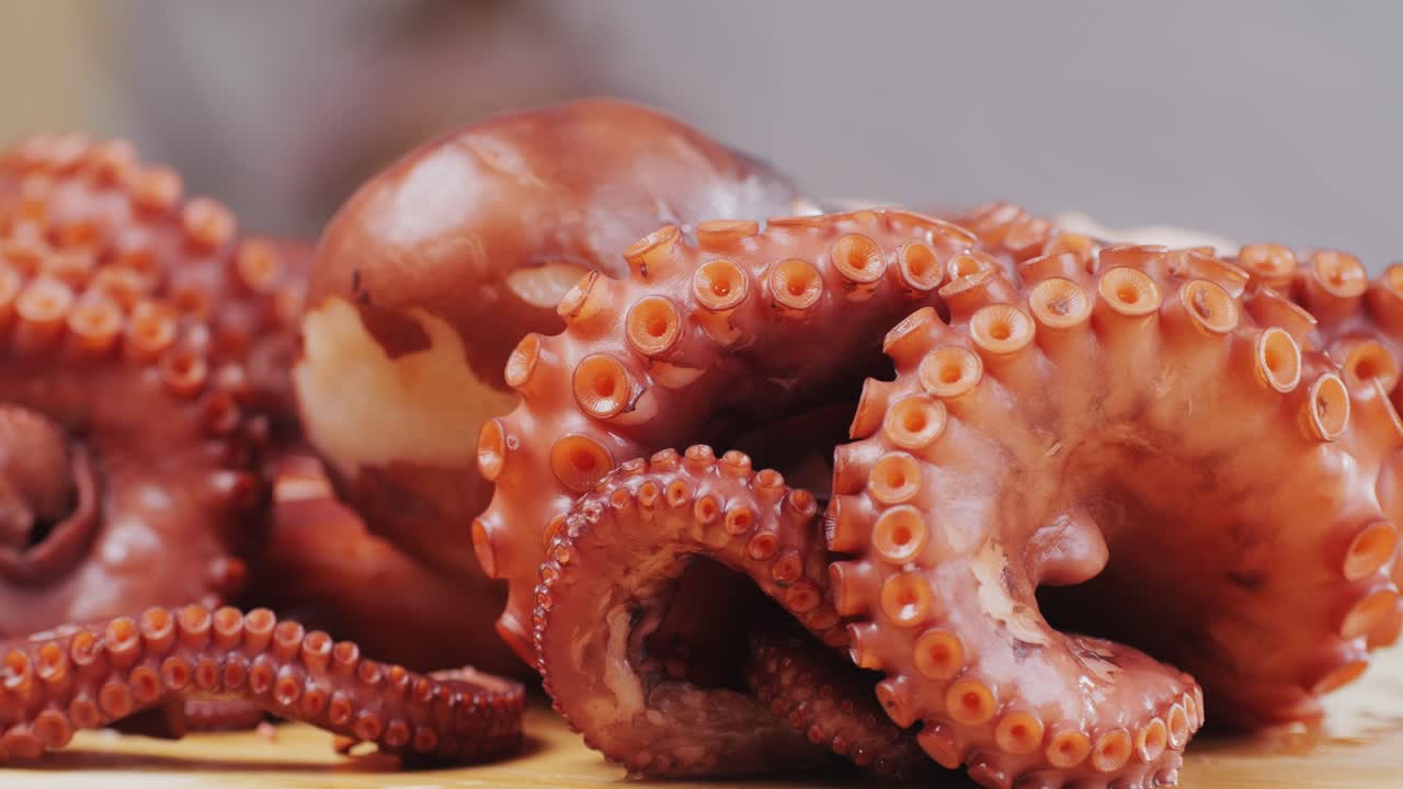 Octopus cooking, chef Boiling fresh octopus on restaurant kitchen, healthy food, seafood cafe in spain, traditional asian japanese spanish and mediterranean dish.