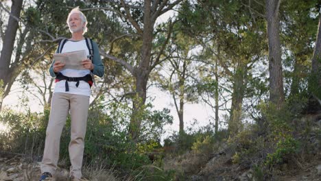 hombre mayor mirando el mapa en el bosque 4k